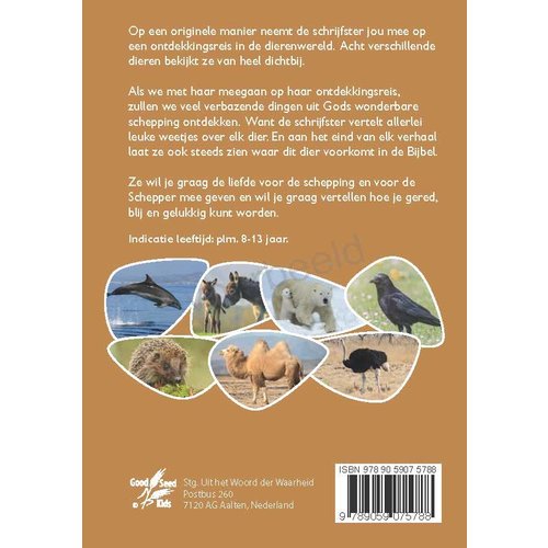 Niederländisch: Dem Fuchs auf der Spur