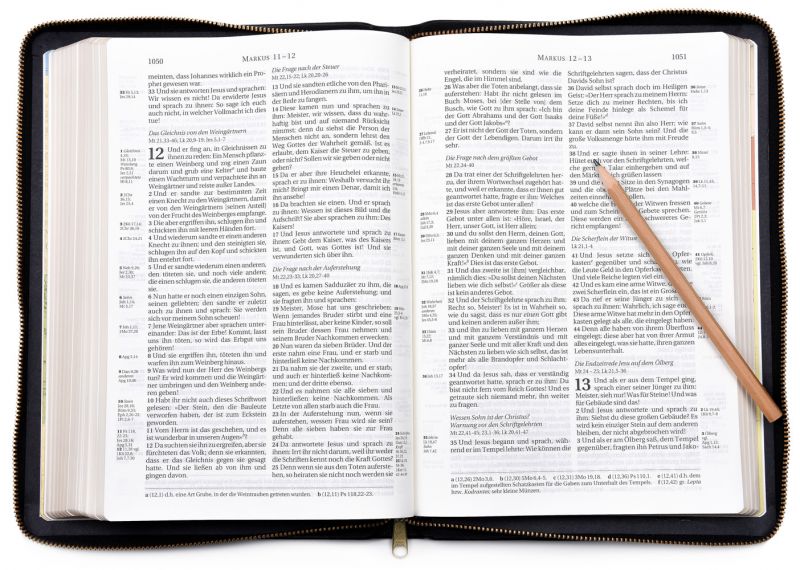 Schlachter 2000 - Standardausgabe - Goldschnitt mit Reißverschluss