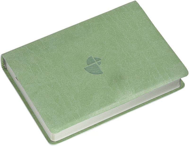 Schlachter 2000 Bibel - Taschenausgabe (oliv, grauer Farbschnitt)