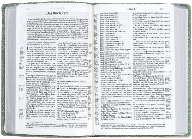 Schlachter 2000 Bibel - Taschenausgabe (oliv, grauer Farbschnitt)