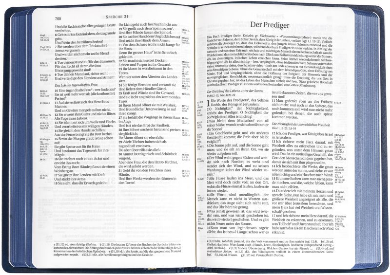 Schlachter 2000 Bibel - Taschenausgabe (sandfarben, blauer Farbschnitt)