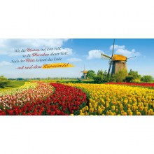 065-0-Wie-die-Blumen-t